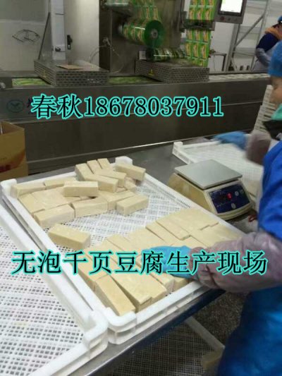 無泡千頁豆腐設備春秋技術免費
