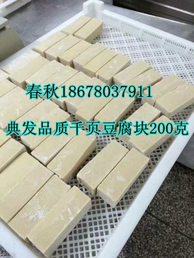 千頁豆腐無泡塊生產(chǎn)技術工藝真空去泡機
