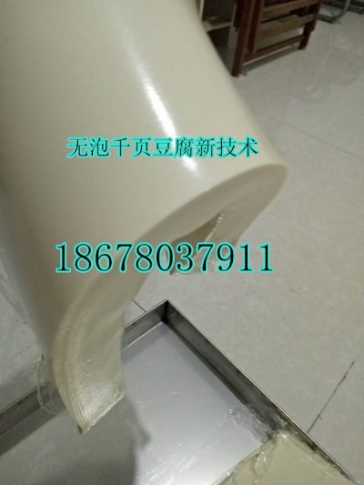 千頁豆腐塊片絲生產(chǎn)設備，千頁豆腐脆度韌性好